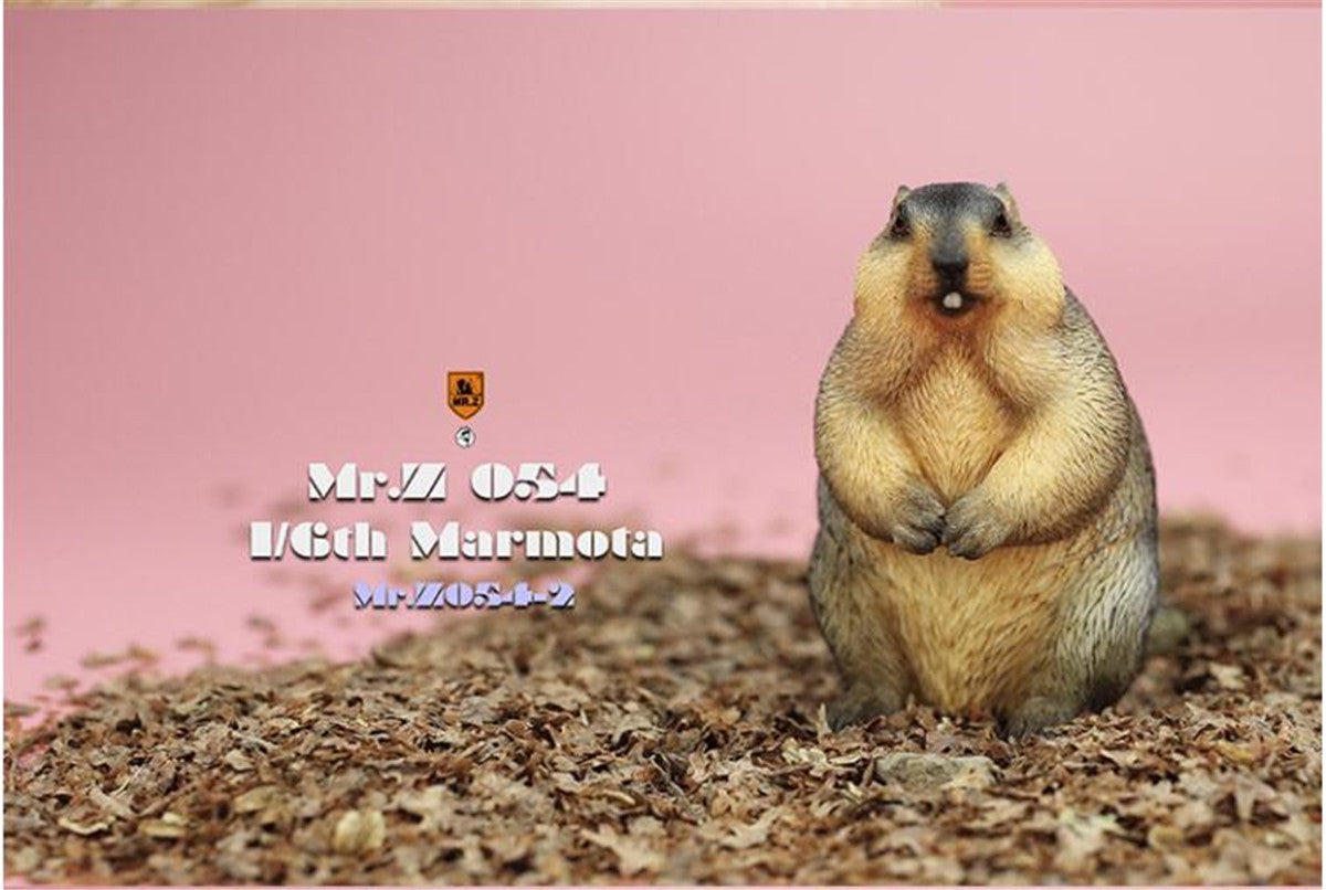Mr.z 1/6 Marmota Figure