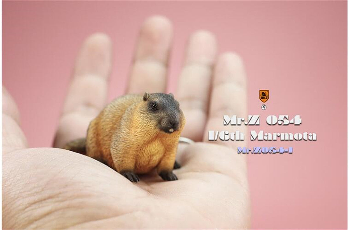 Mr.z 1/6 Marmota Figure