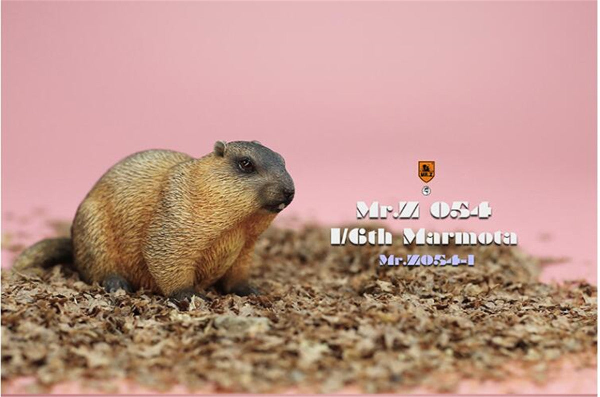 Mr.z 1/6 Marmota Figure