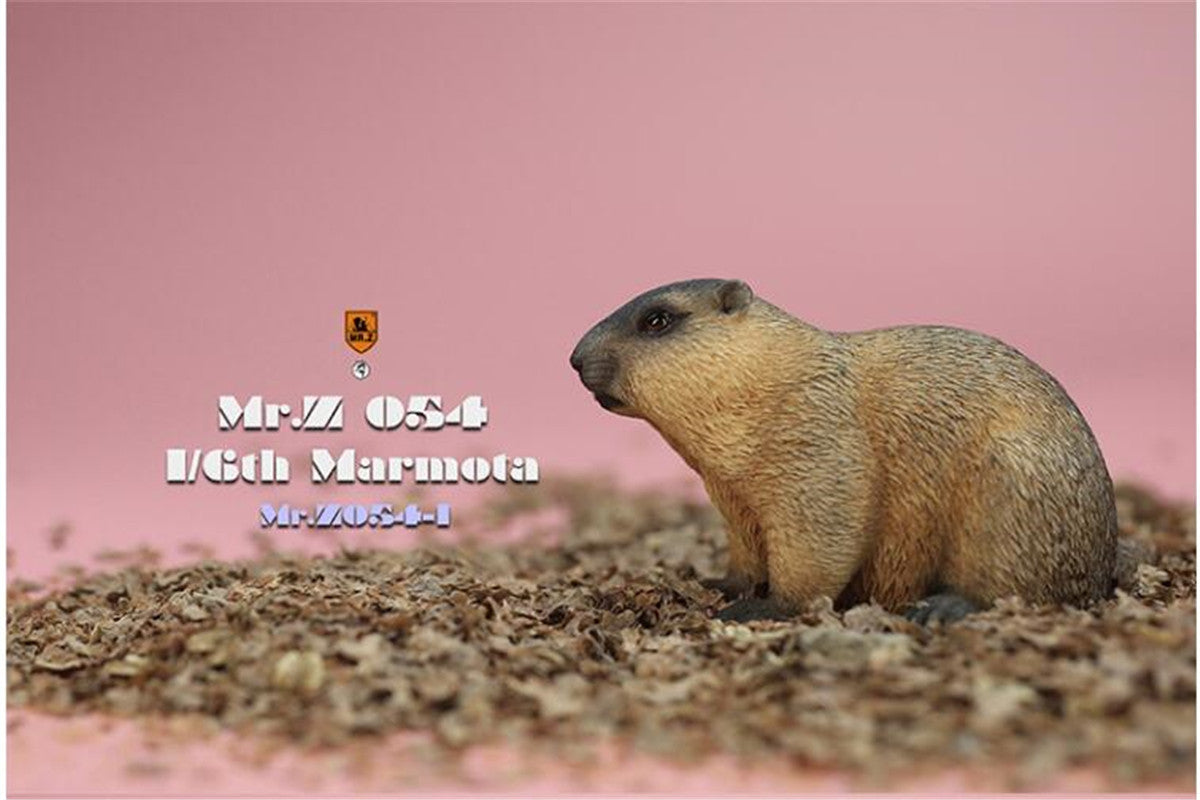 Mr.z 1/6 Marmota Figure