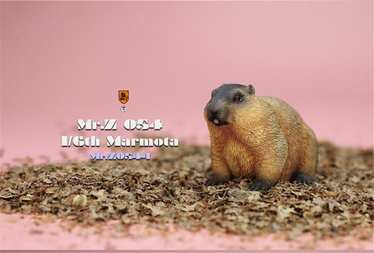 Mr.z 1/6 Marmota Figure
