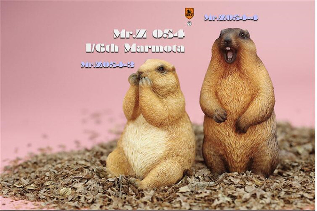Mr.z 1/6 Marmota Figure