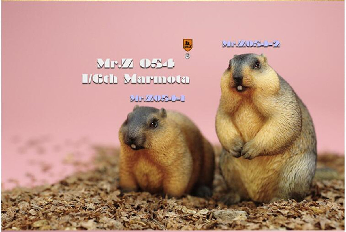 Mr.z 1/6 Marmota Figure