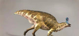 Tsintaosaurus Spinorhinus Model