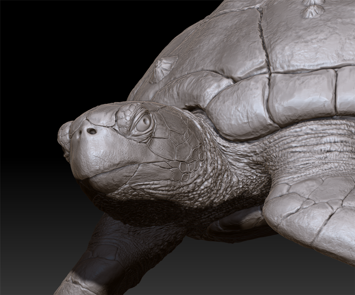 Green Turtle Unpainted Figure