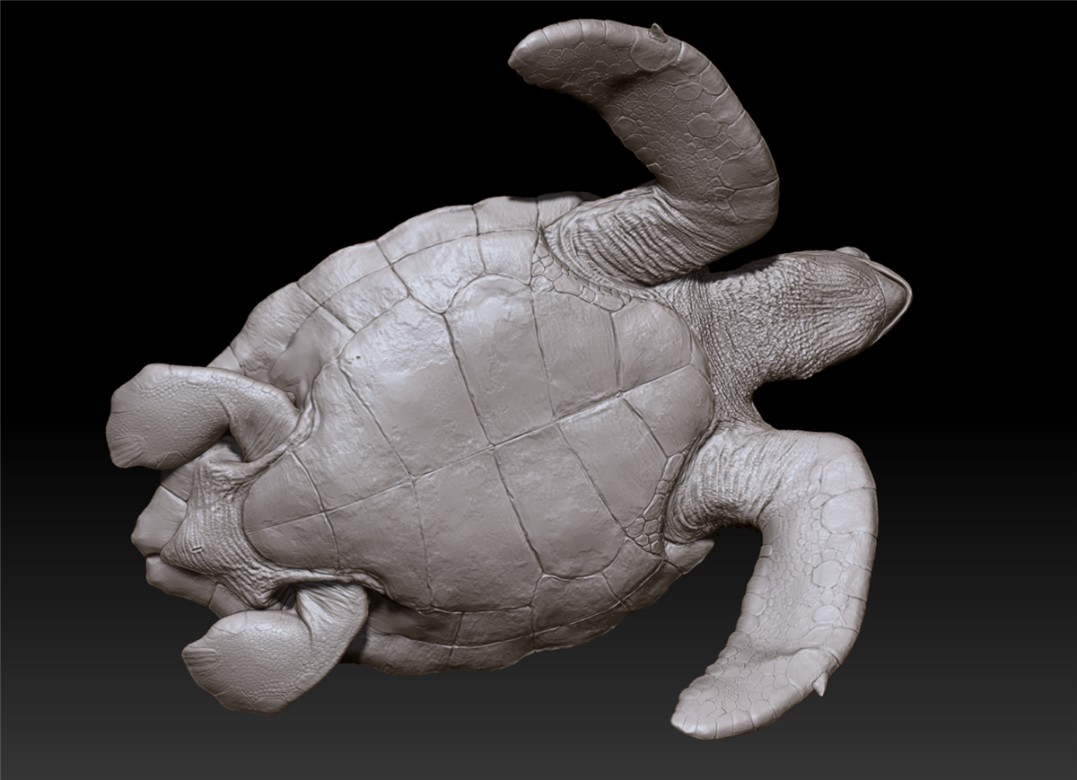 Green Turtle Unpainted Figure