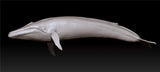 Blue Whale Unpainted Figure