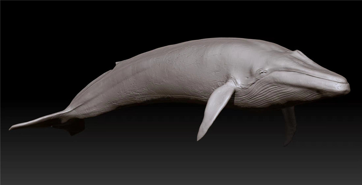 Blue Whale Unpainted Figure