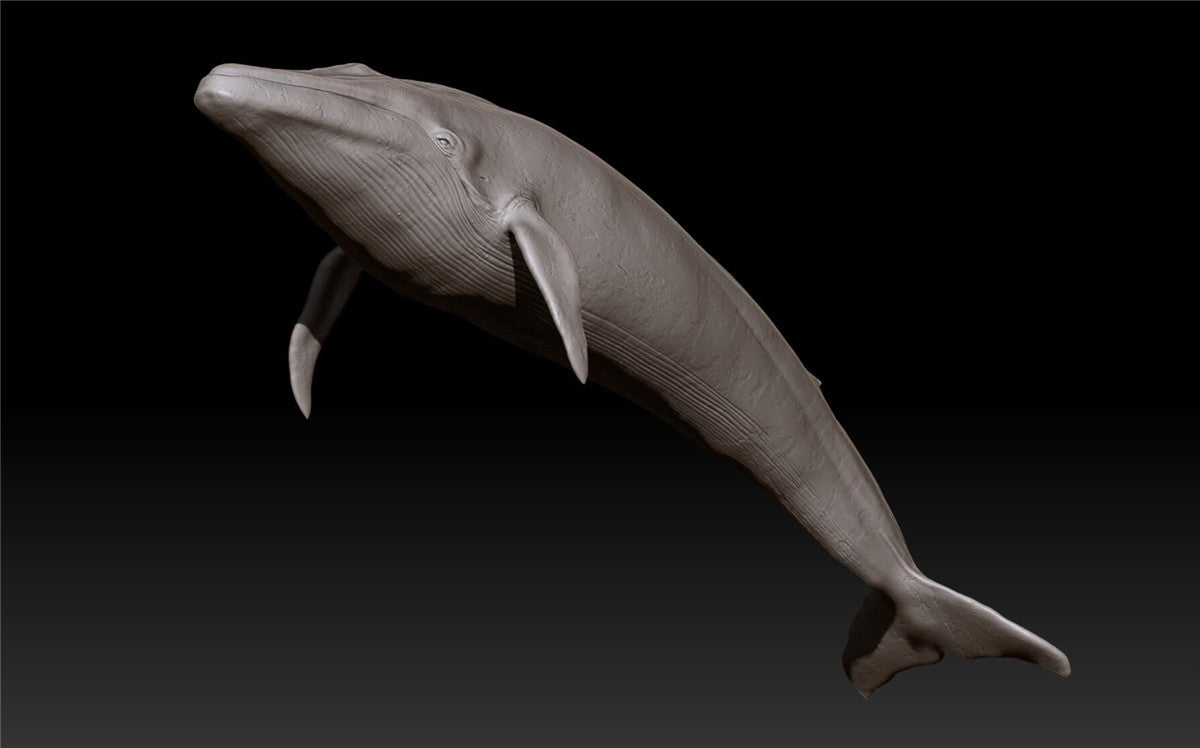 Blue Whale Unpainted Figure