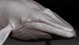 Blue Whale Unpainted Figure