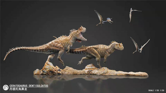 Ceratosaurus C. dentisulcatus Model