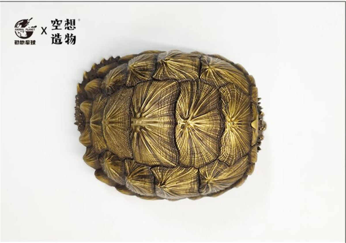 Copper Turtle Model