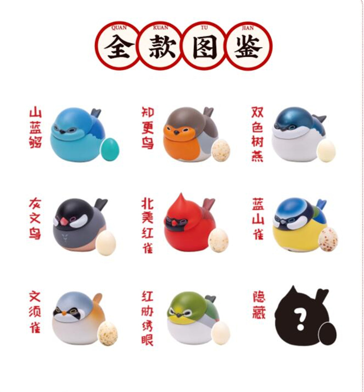 Passeriformes Blind Box Model