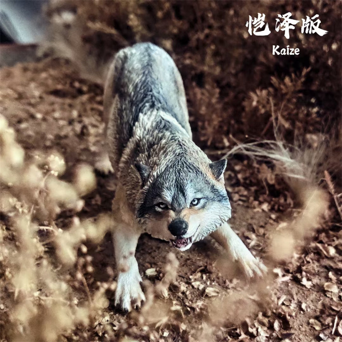 洋楽 WOLF: WOLF QQ_20210810103348.jpg?crop=