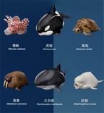 Animal Planet Ocean Animal Blind Box