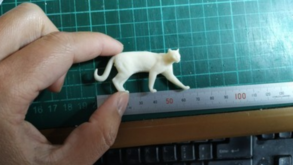 Asiatic Golden Cat Model