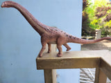 Alamosaurus Model