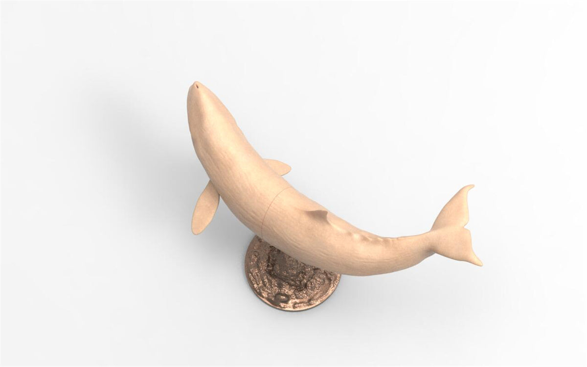 Rheic 1/35 Brygmophyseter Model