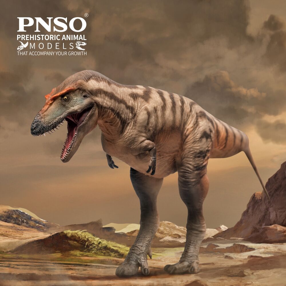 PNSO Gorgosaurus Tristan Model