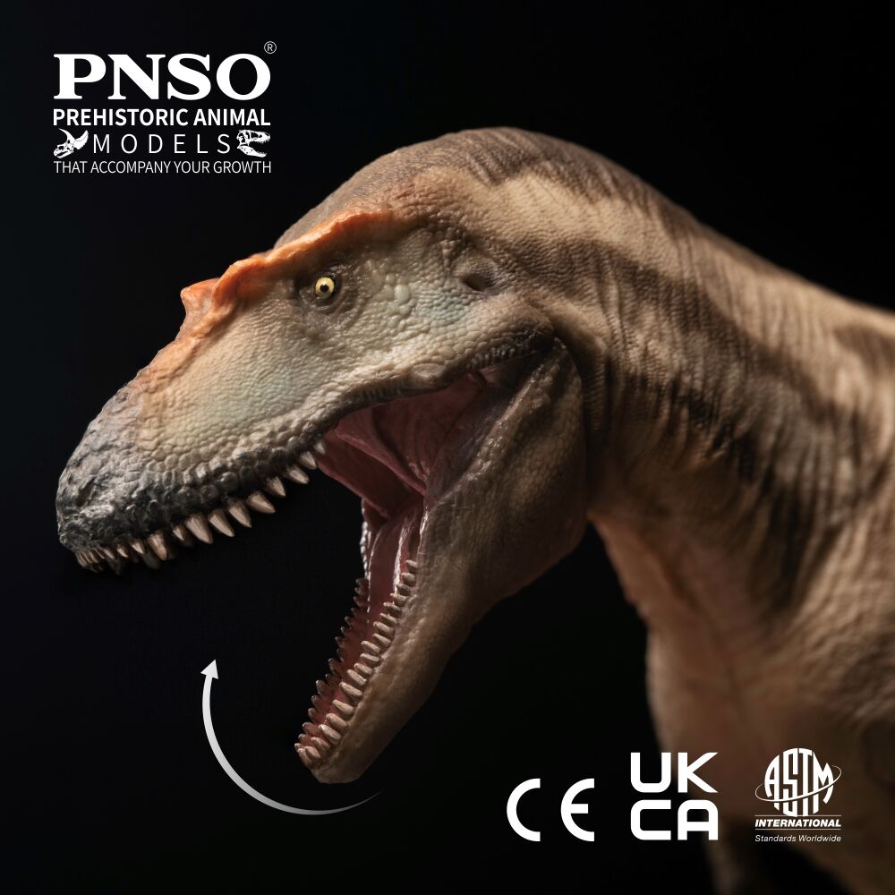 PNSO Gorgosaurus Tristan Model