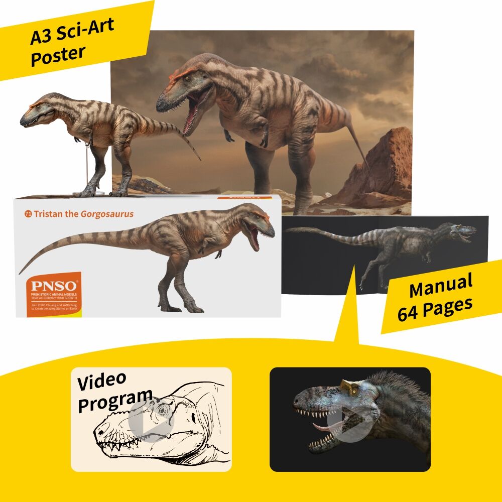 PNSO Gorgosaurus Tristan Model