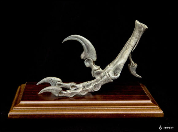 Deinonychus Left Foot Skeleton Model