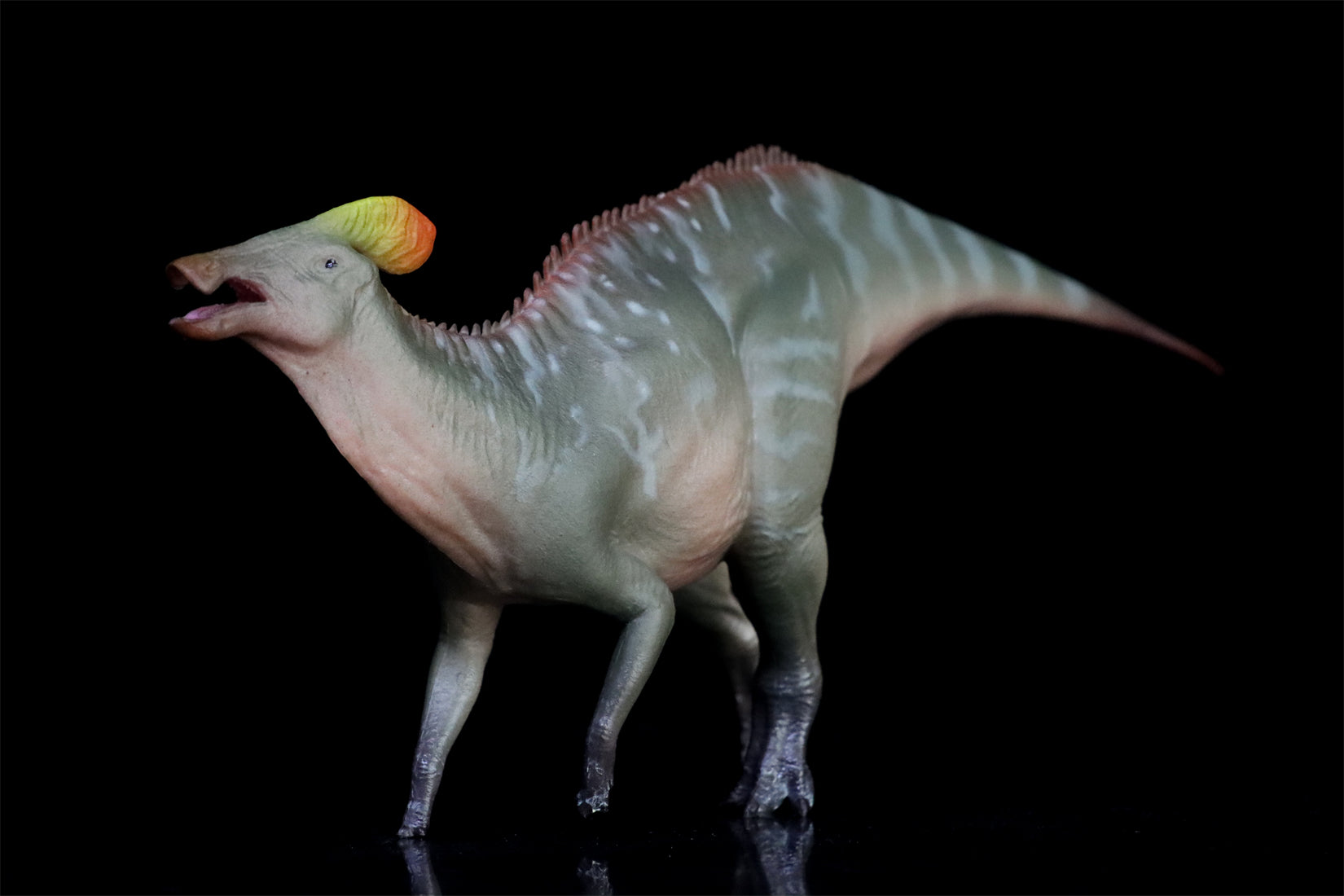 HAOLONGGOOD 1:35 Scale Tlatolophus galorum Model