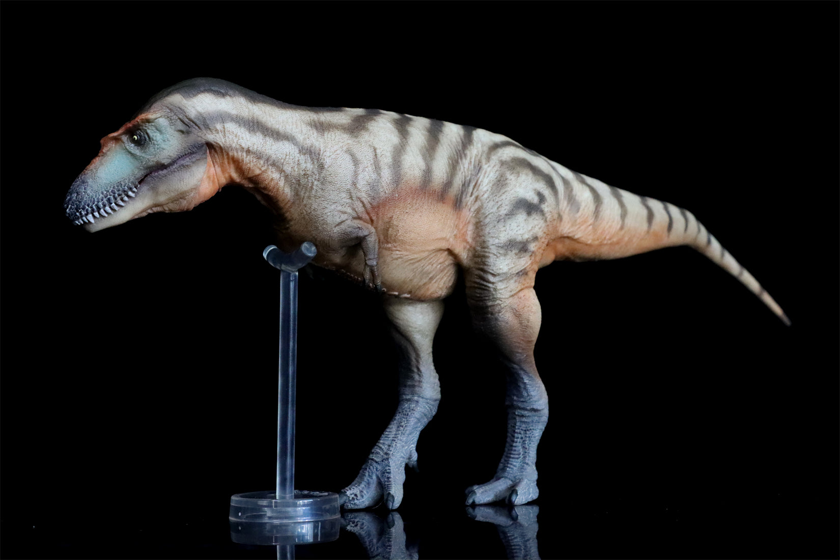 PNSO Gorgosaurus Tristan Model