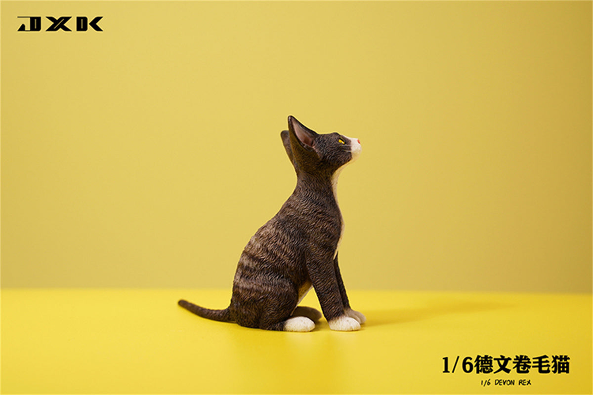 JXK 1/6 Devon Rex Model