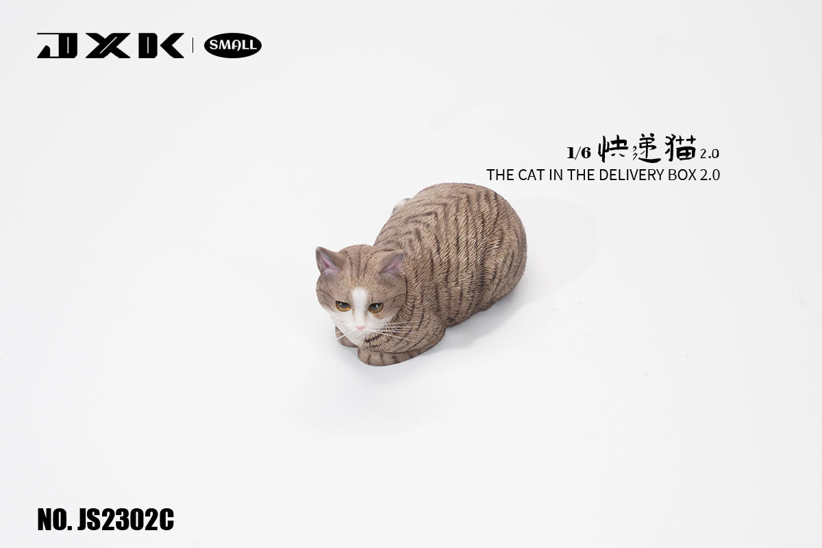 JXK Small The Cat In The Delivery Box 2.0 Model