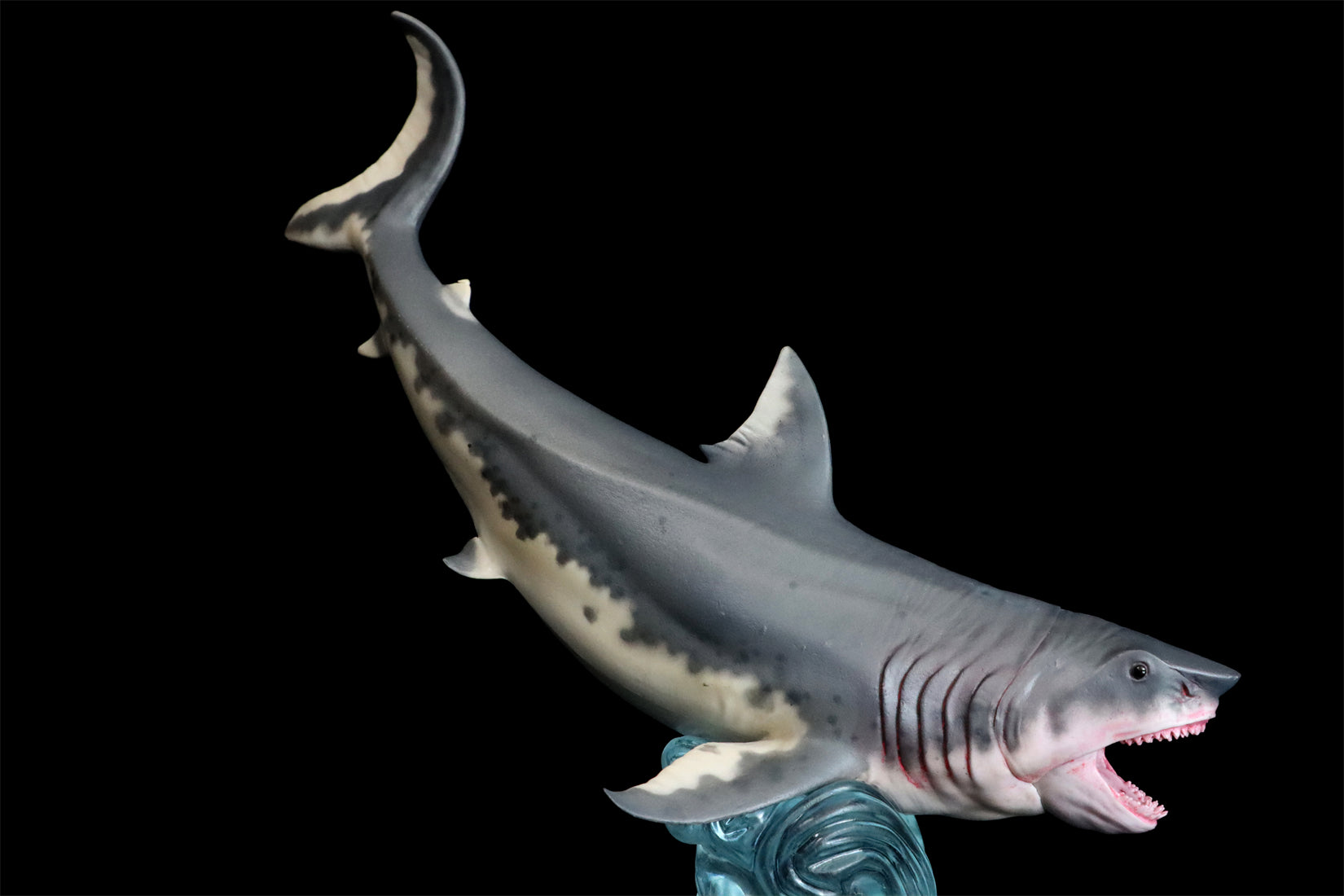 HAOLONGGOOD Megalodon Model