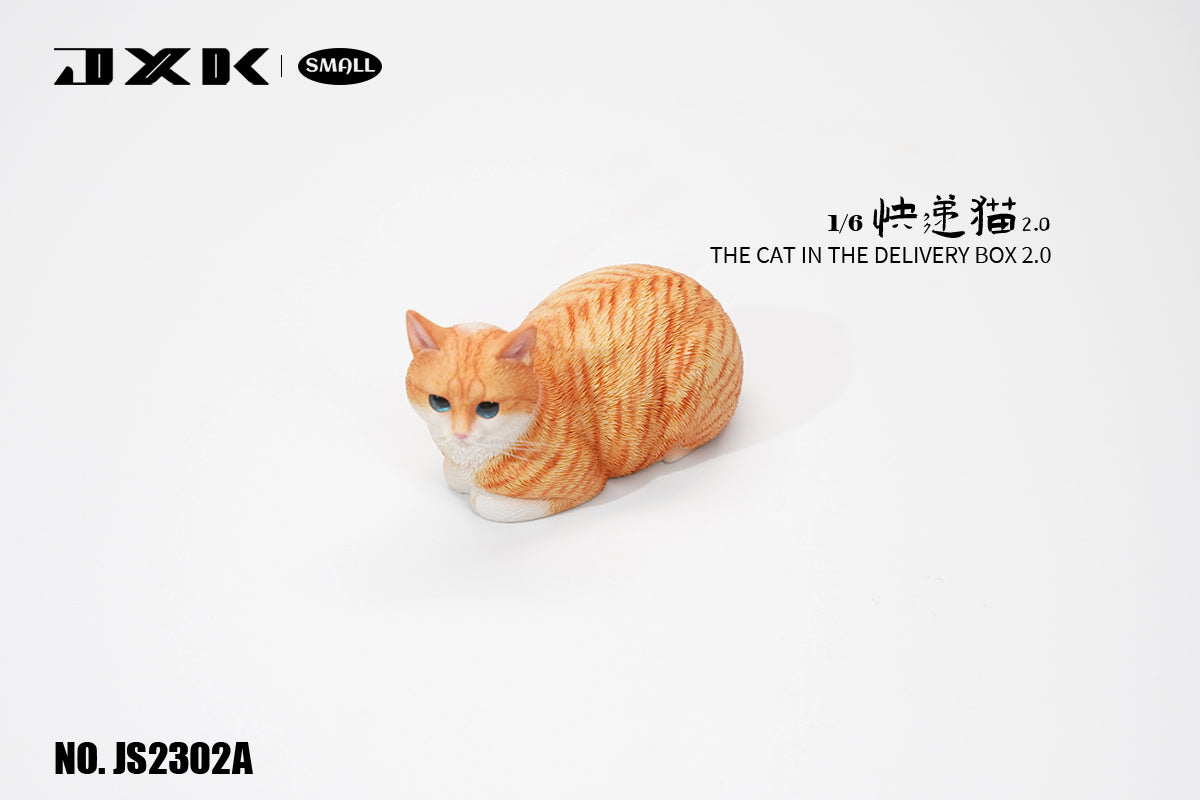 JXK Small The Cat In The Delivery Box 2.0 Model