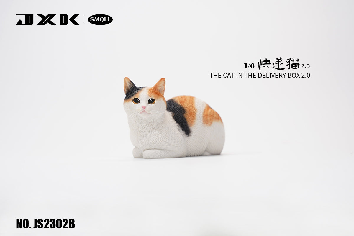 JXK Small The Cat In The Delivery Box 2.0 Model