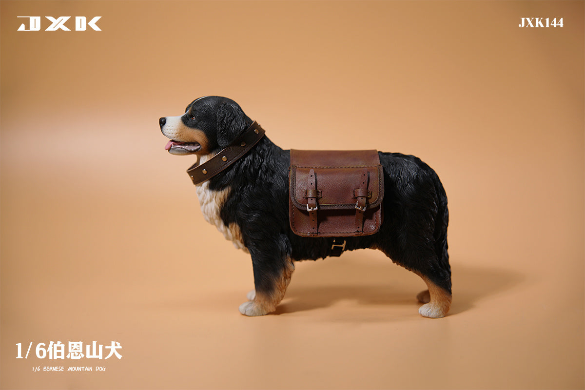 JXK 1/6 Bernese Mountain Dog Model