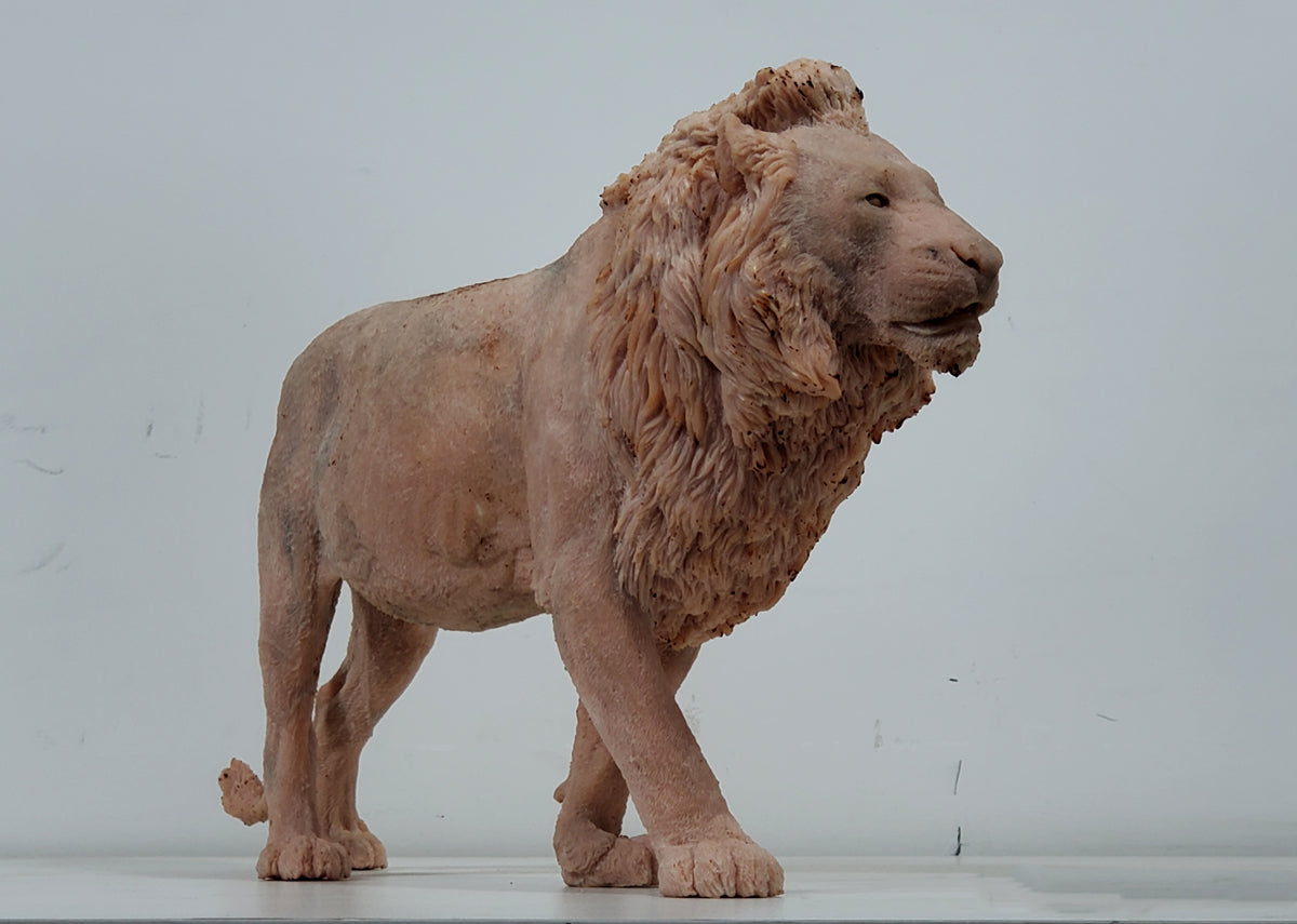 tunan Mapogo Males Series 1:6 Scale Mr.T Satan Lion Model