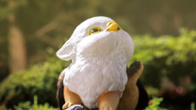 KONGZOO Griffin Model