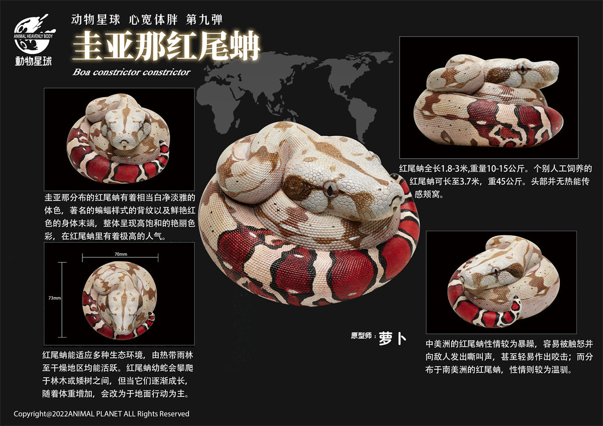 Animal Planet 09 Snake 2.0 Blind Box Model