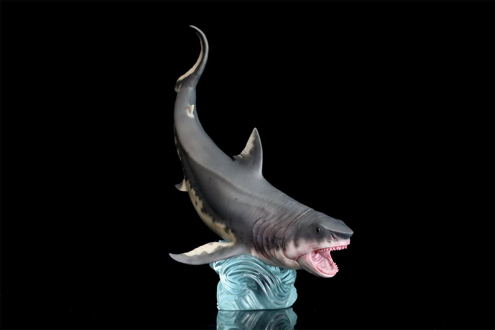 HAOLONGGOOD Megalodon Model