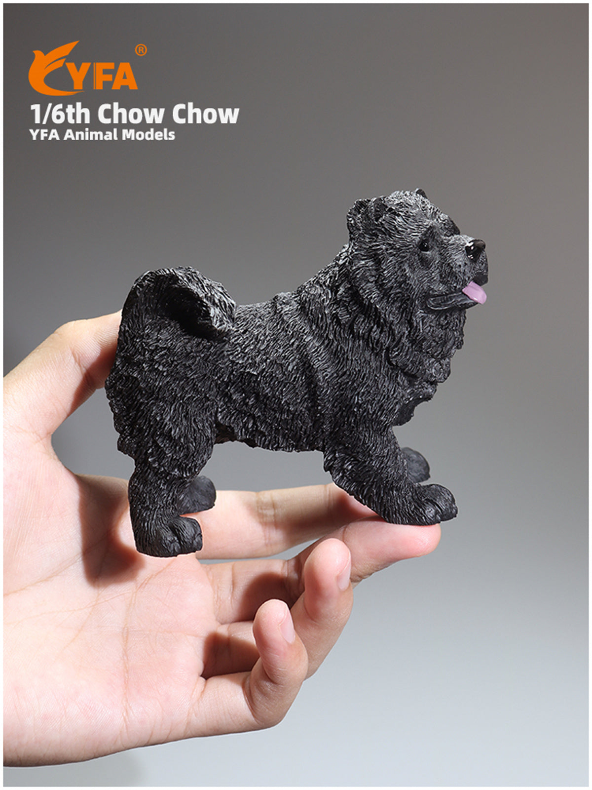 JJM 1/6 Chow Chow Dog Model