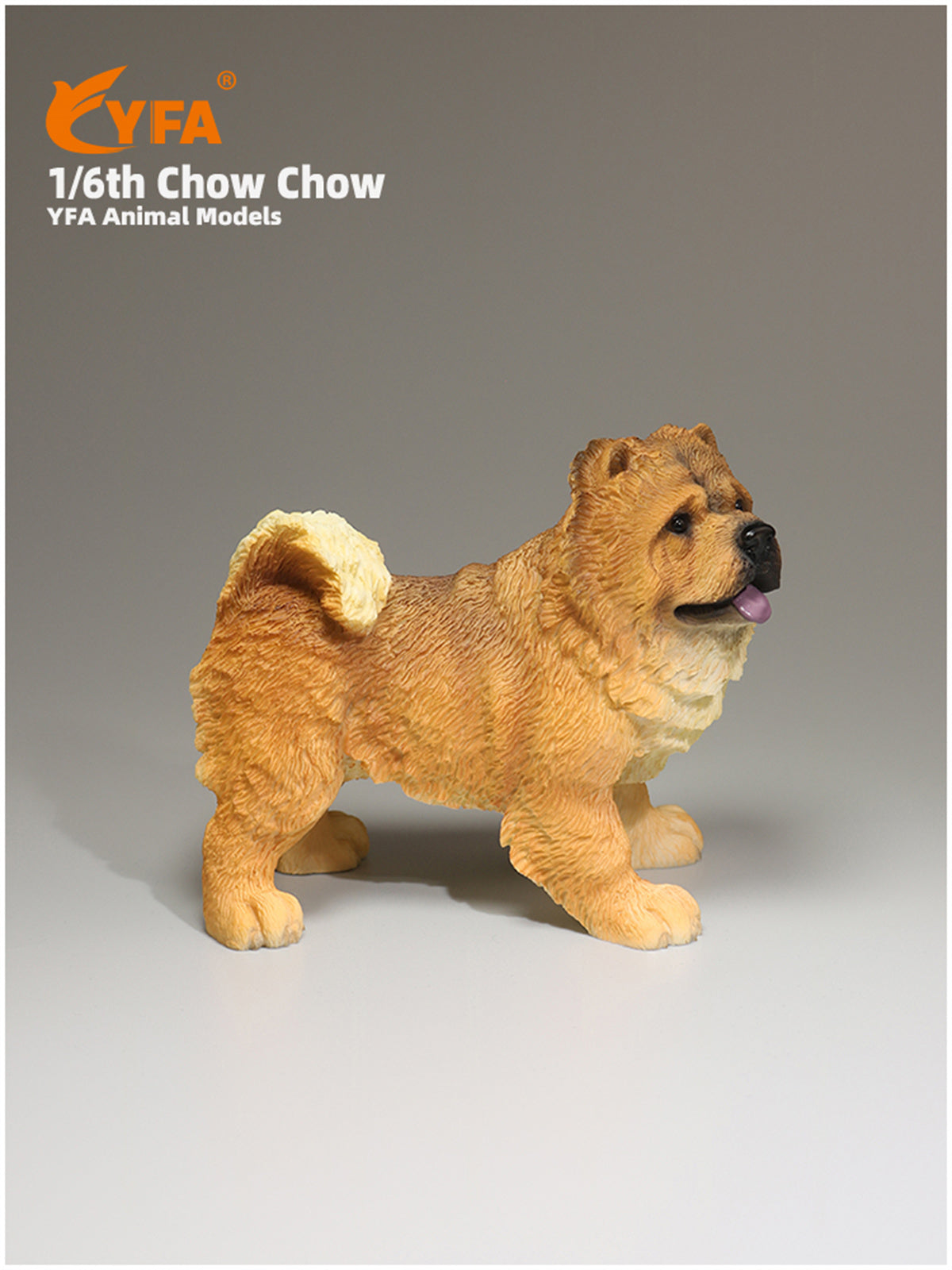 JJM 1/6 Chow Chow Dog Model