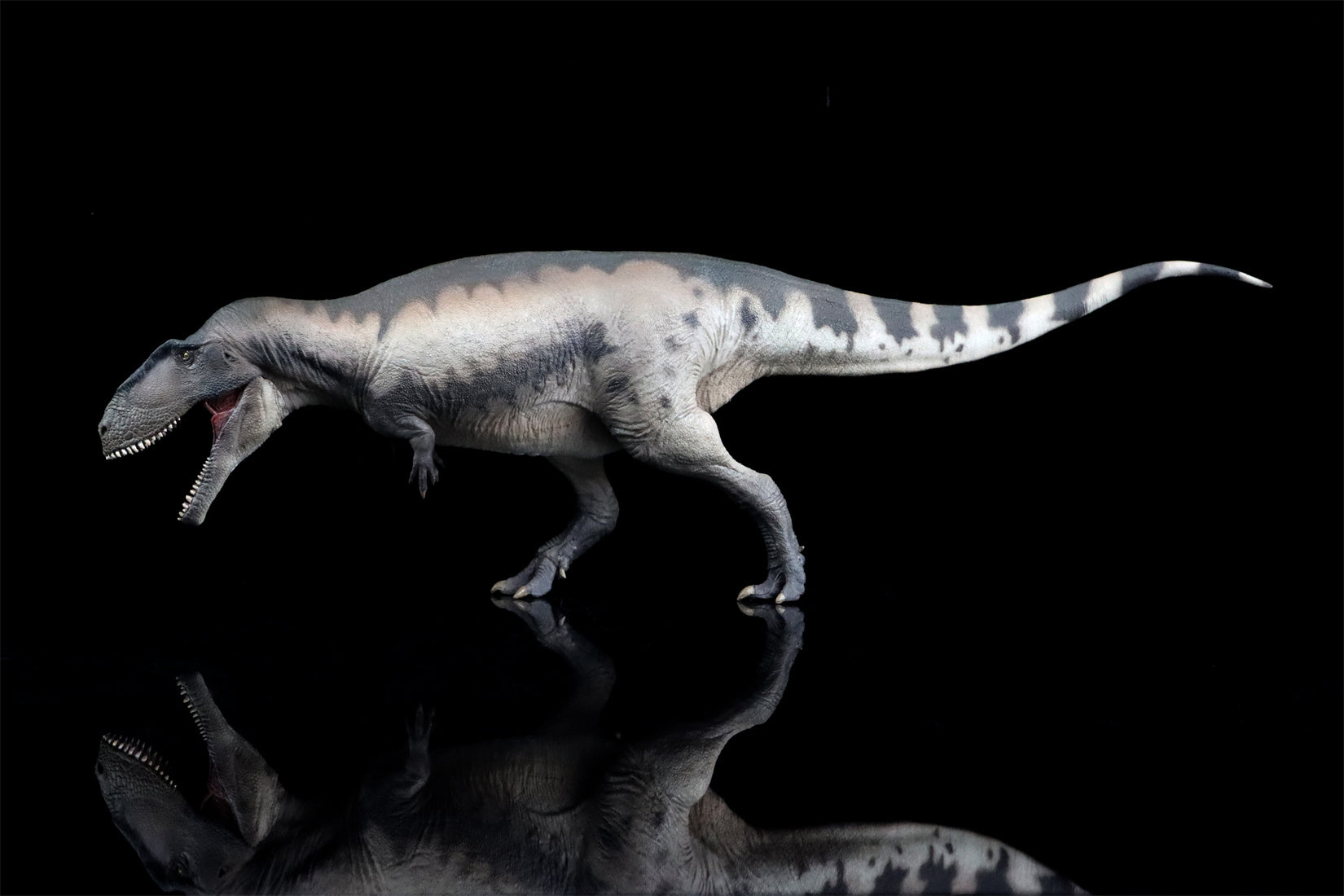 PNSO 68 Mapusaurus Mila Model