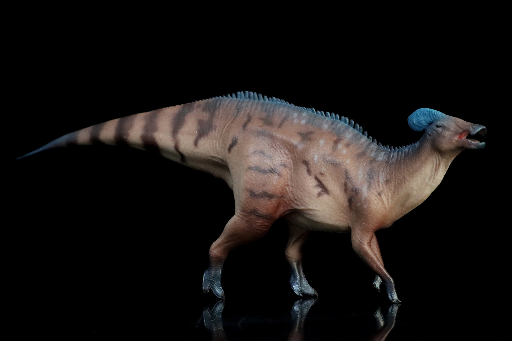 HAOLONGGOOD 1:35 Scale Tlatolophus galorum Model