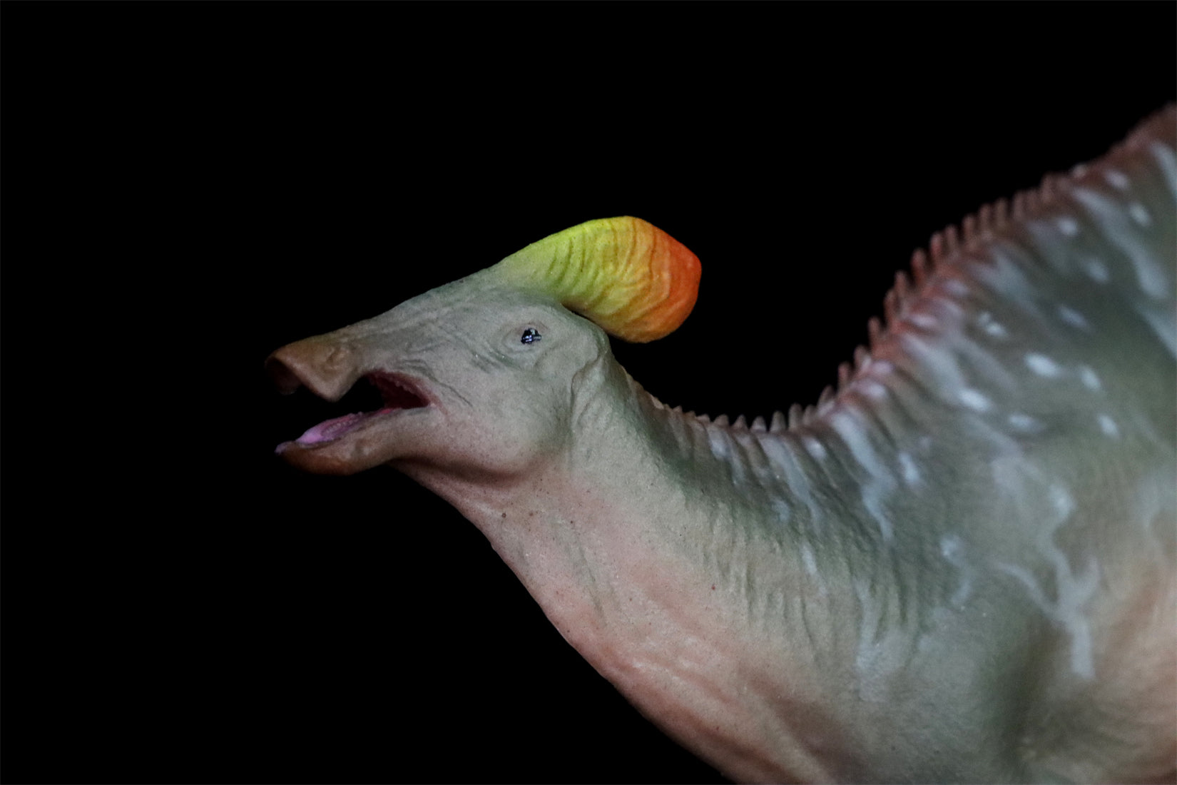 HAOLONGGOOD 1:35 Scale Tlatolophus galorum Model