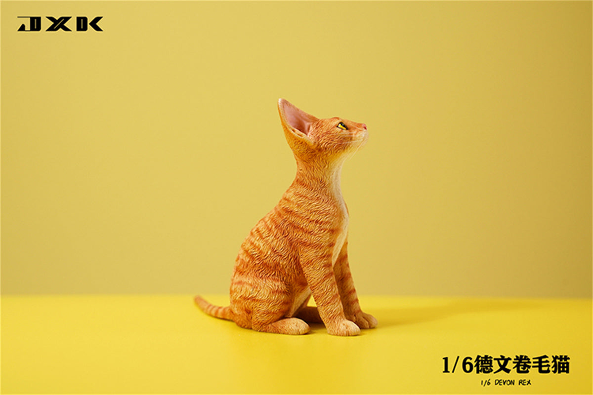 JXK 1/6 Devon Rex Model