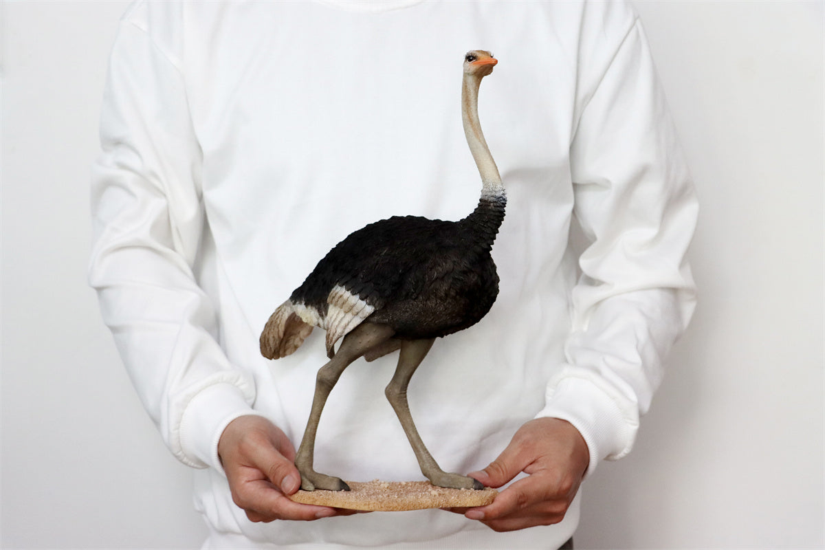 JXK 1/6 Ostrich Model