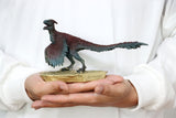 TONGSHIFU 1/20 Pyroraptor Olympius Model