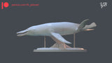 VFB Studio 1/35 Pliosaurus Scene Statue Kit