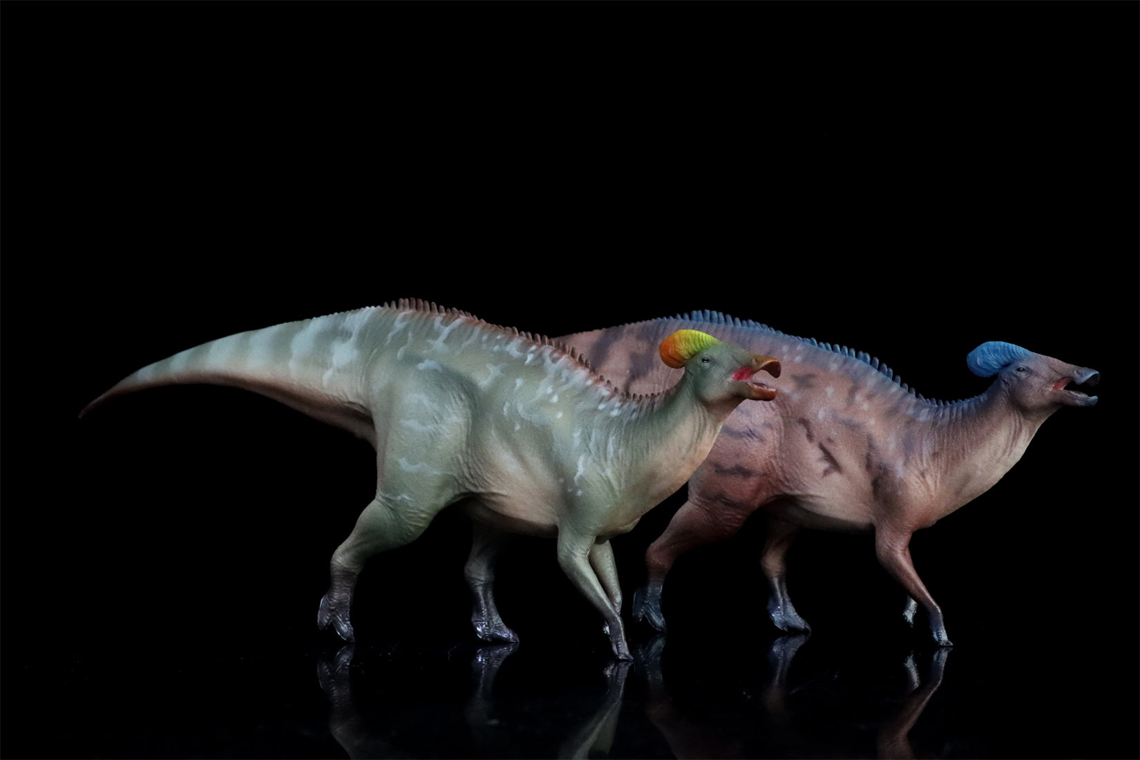 HAOLONGGOOD 1:35 Scale Tlatolophus galorum Model