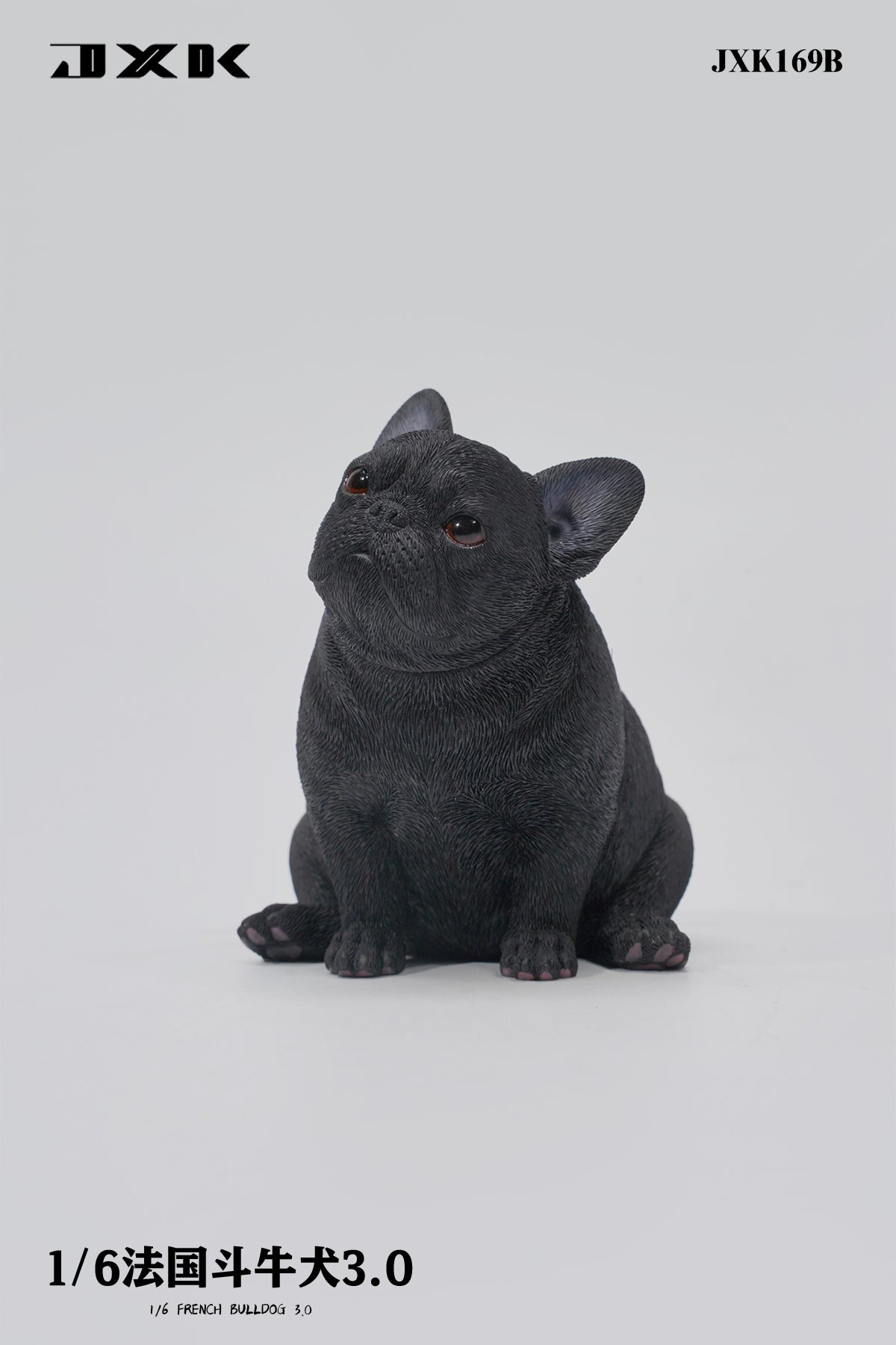 JXK 1/6 French Bulldog 3.0 Model
