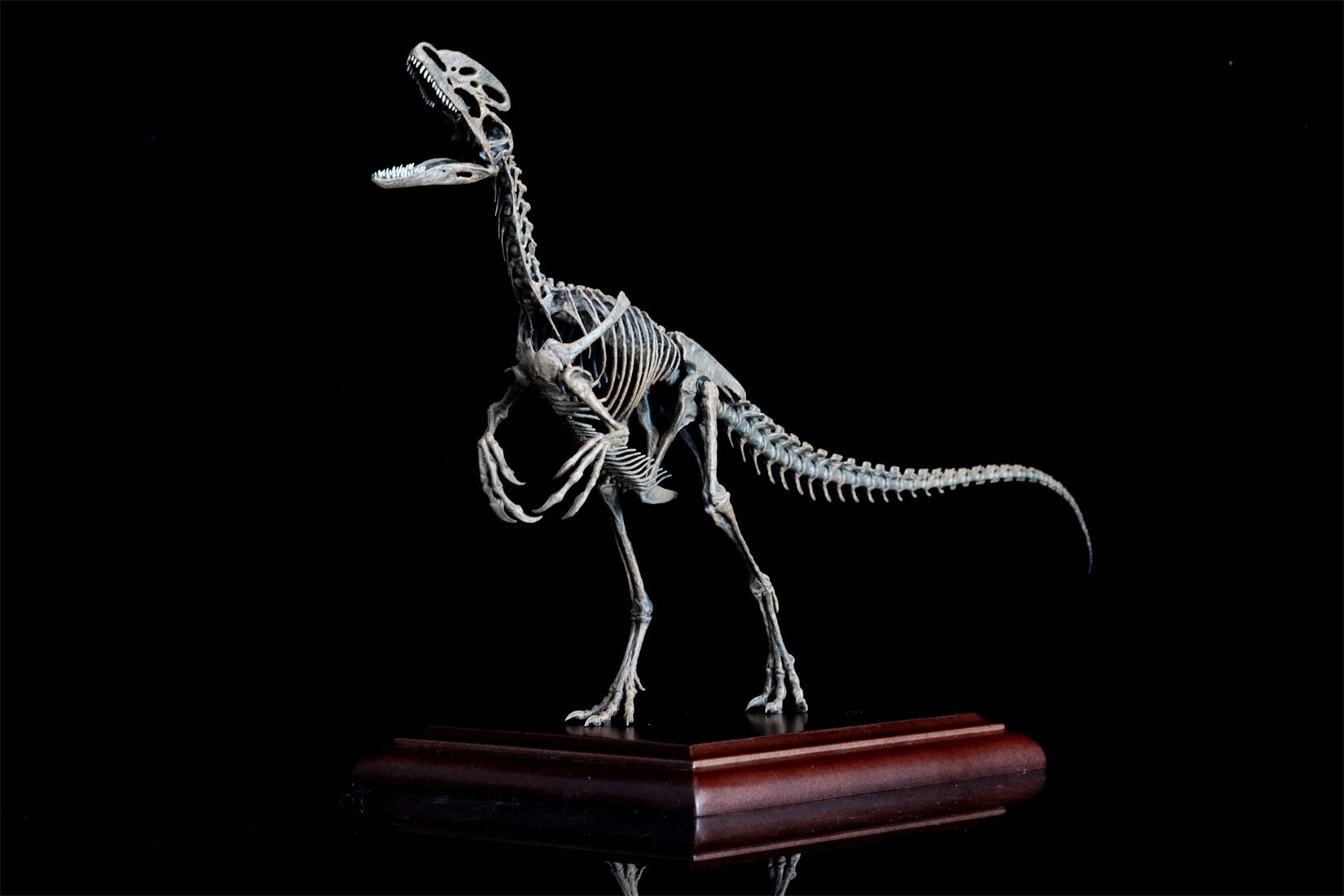 VWUVWU 1/10 Guanlong Wucaii Skeleton Model